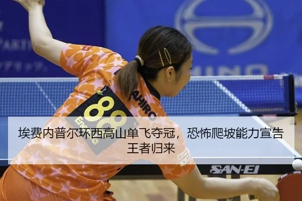 ai-fei-nei-pu-er-huan-xi-gao-shan-dan-fei-duo-guan-kong-bu-pa-po-neng-li-xuan-gao-wang-zhe-gui-lai-2-612.jpg