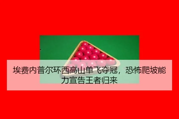 ai-fei-nei-pu-er-huan-xi-gao-shan-dan-fei-duo-guan-kong-bu-pa-po-neng-li-xuan-gao-wang-zhe-gui-lai-3-826.jpg