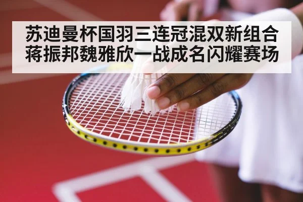 badminton court close up
