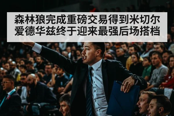 basketball crowd arena